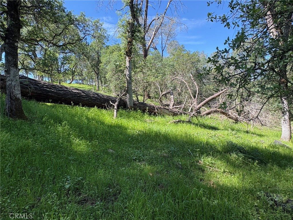 3465 Foothill Boulevard Property Photo 16