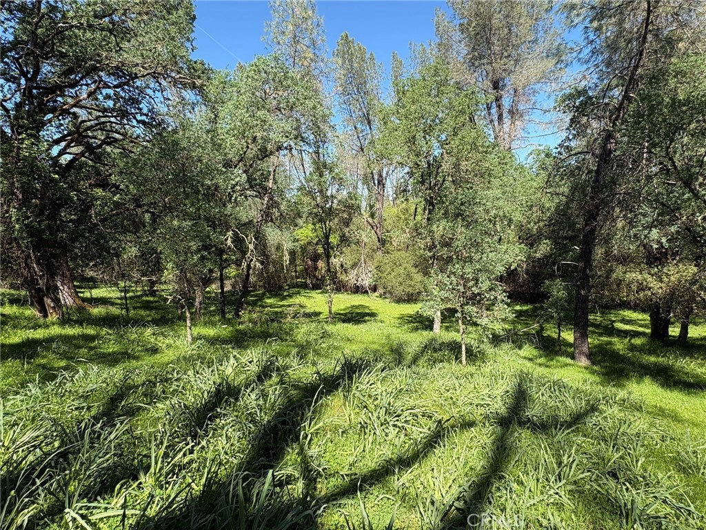 3465 Foothill Boulevard Property Photo 17