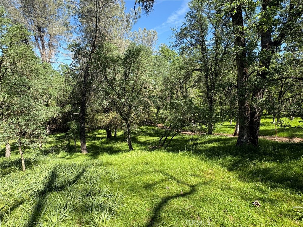 3465 Foothill Boulevard Property Photo 18