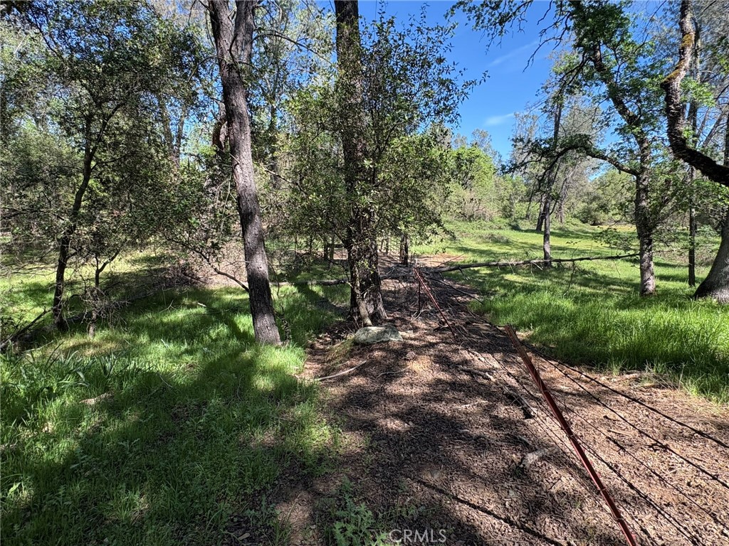 3465 Foothill Boulevard Property Photo 19