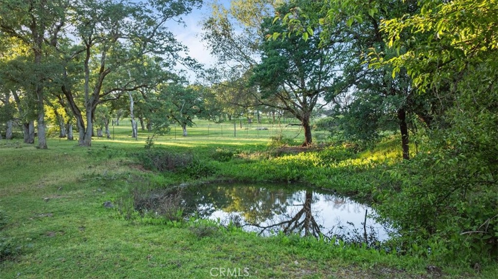 0 Bethridge Property Photo 1
