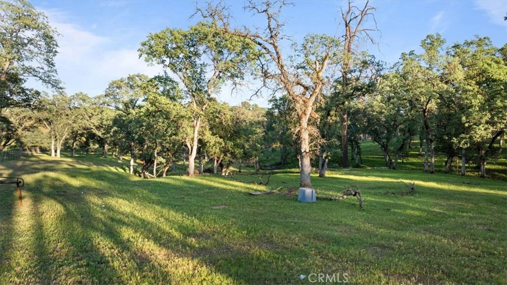 0 Bethridge Property Photo 8