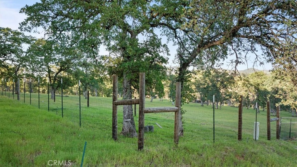 0 Bethridge Property Photo 11
