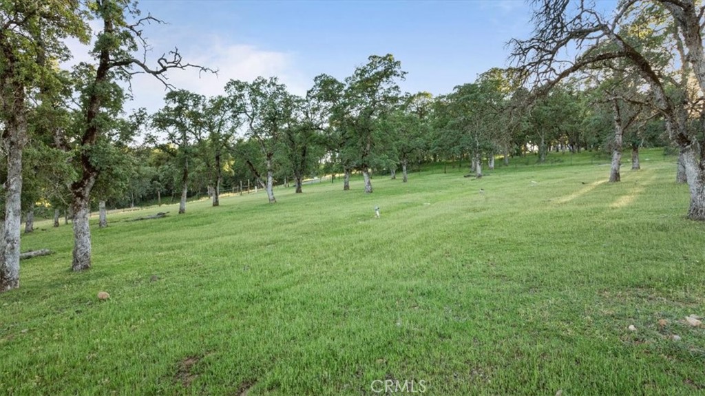 0 Bethridge Property Photo 12