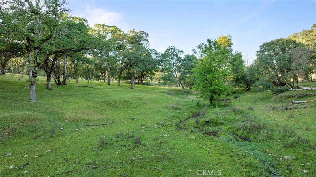 0 Bethridge Property Photo 14