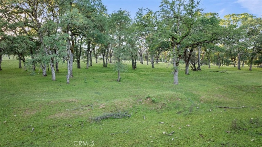 0 Bethridge Property Photo 15