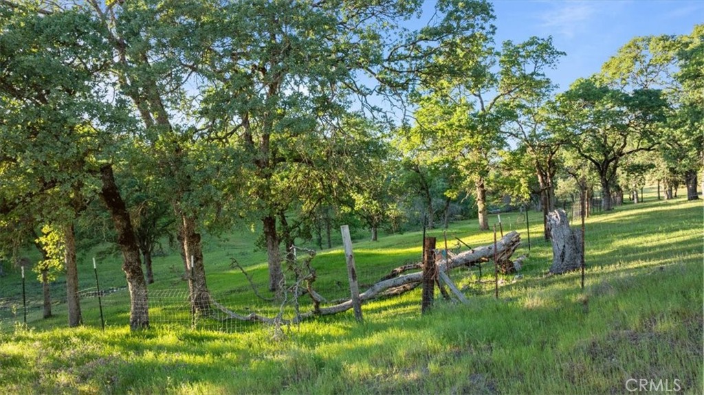 0 Bethridge Property Photo 16