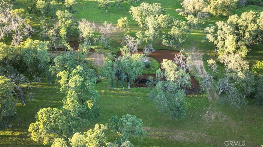 0 Bethridge Property Photo 29