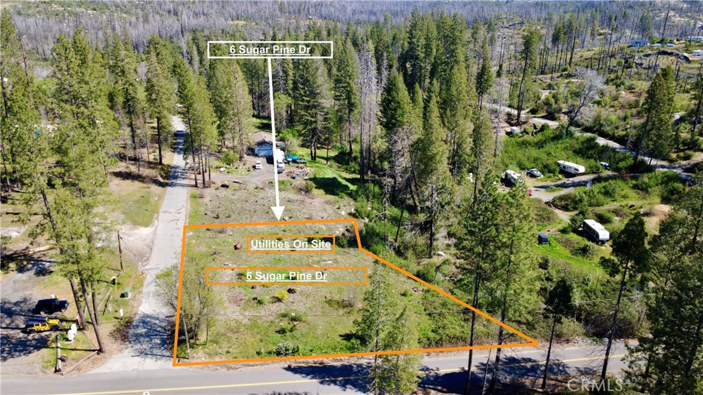6 Sugar Pine Property Photo 1