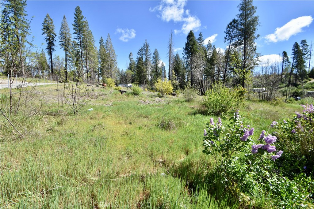 6 Sugar Pine Property Photo 2