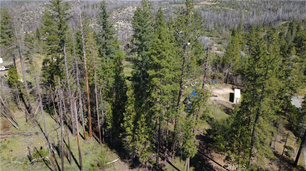 6 Sugar Pine Property Photo 3