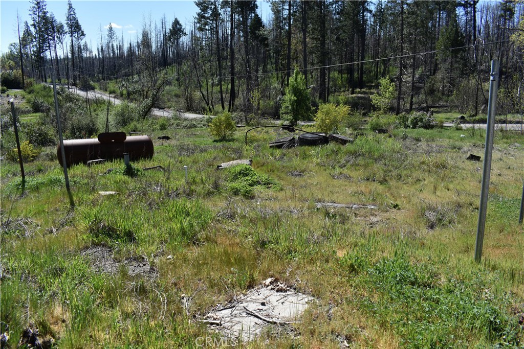 6 Sugar Pine Property Photo 6
