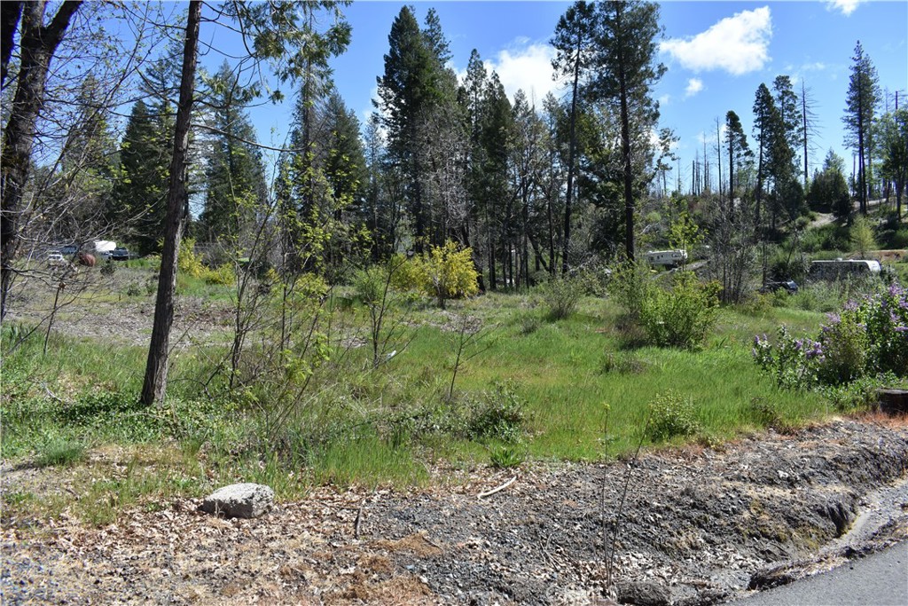 6 Sugar Pine Property Photo 7