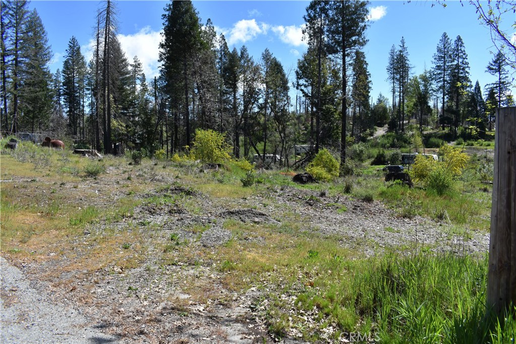 6 Sugar Pine Property Photo 8