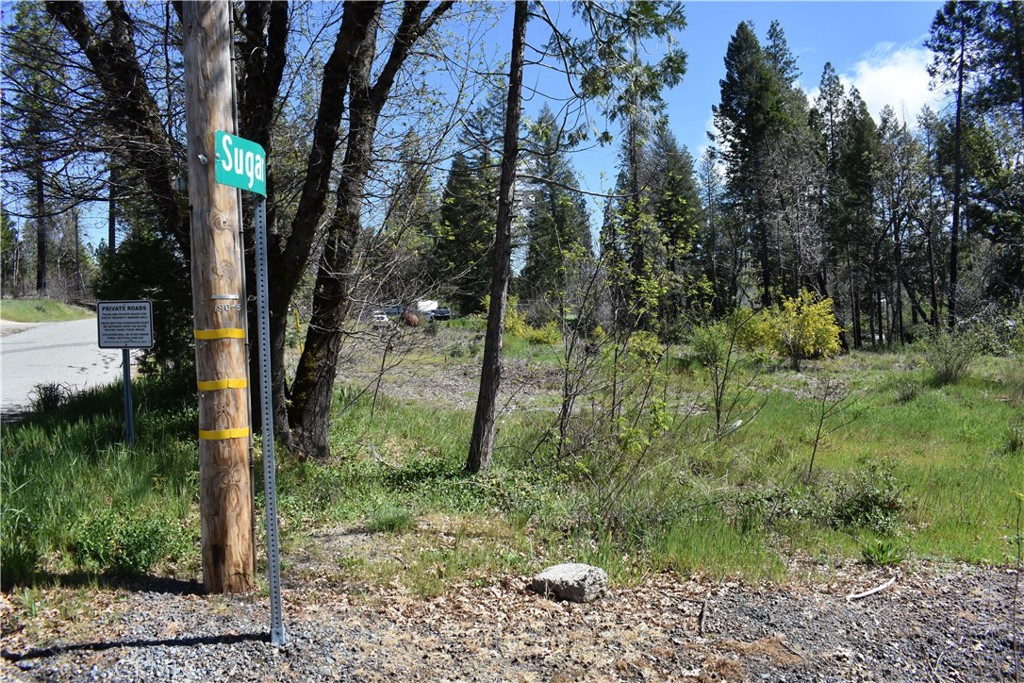 6 Sugar Pine Property Photo 9