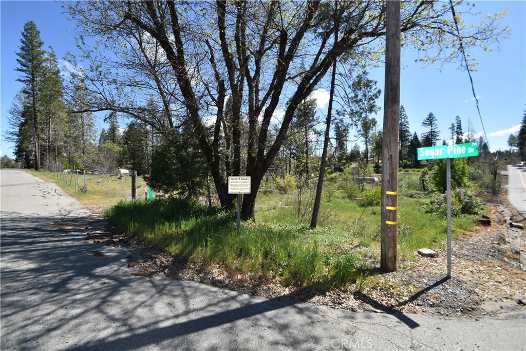 6 Sugar Pine Property Photo 10