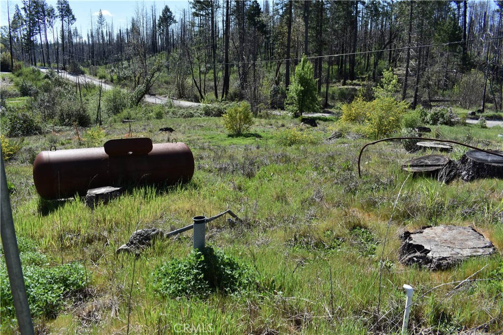 6 Sugar Pine Property Photo 11
