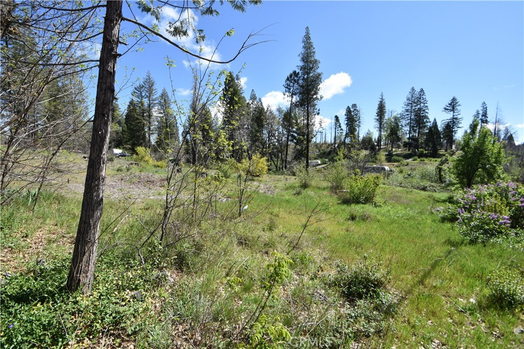 6 Sugar Pine Property Photo 13