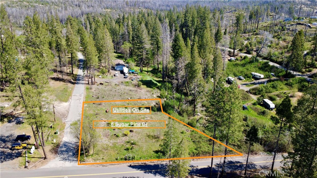 6 Sugar Pine Property Photo 14