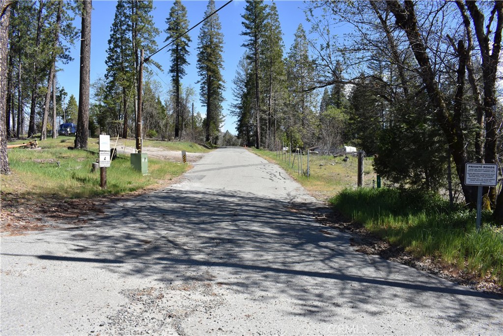 6 Sugar Pine Property Photo 16