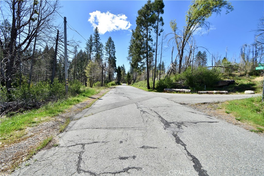 6 Sugar Pine Property Photo 17