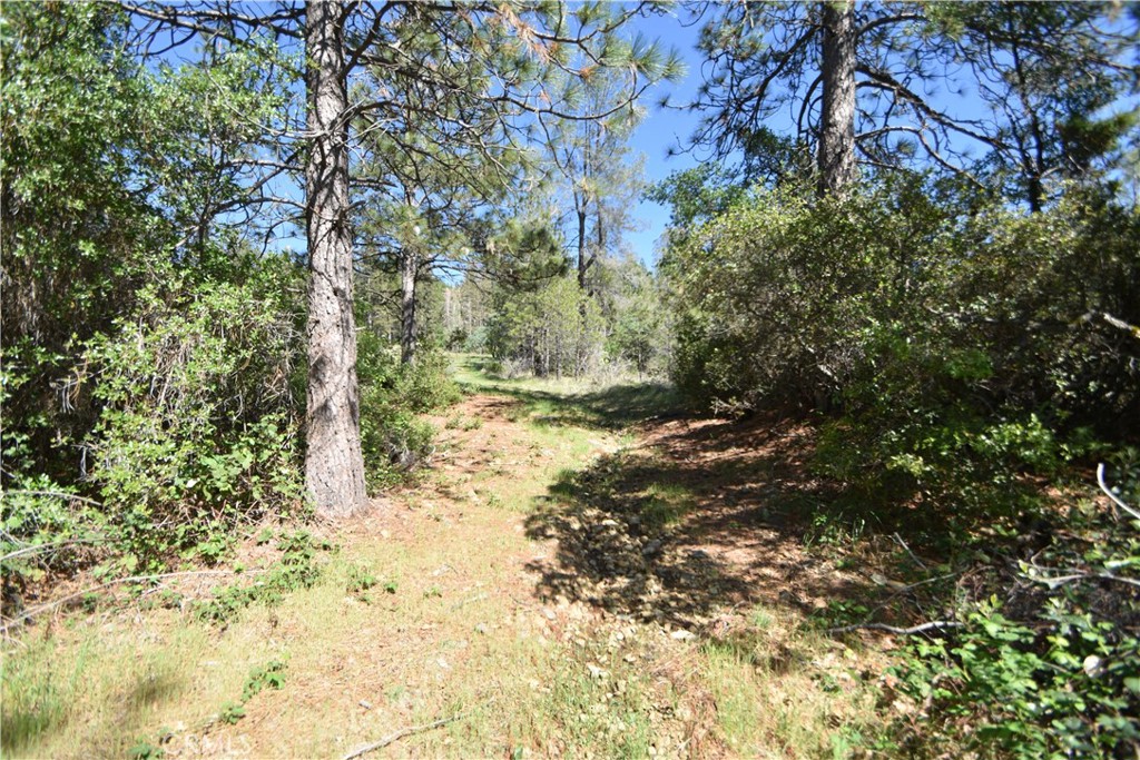 17861 Ponderosa Property Photo 8