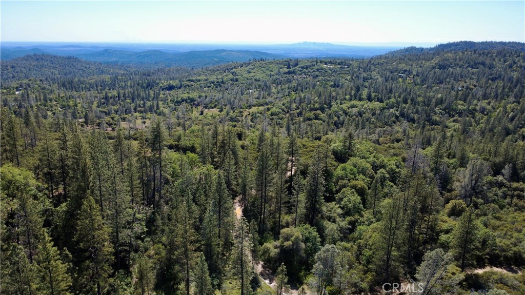 17861 Ponderosa Property Photo 10
