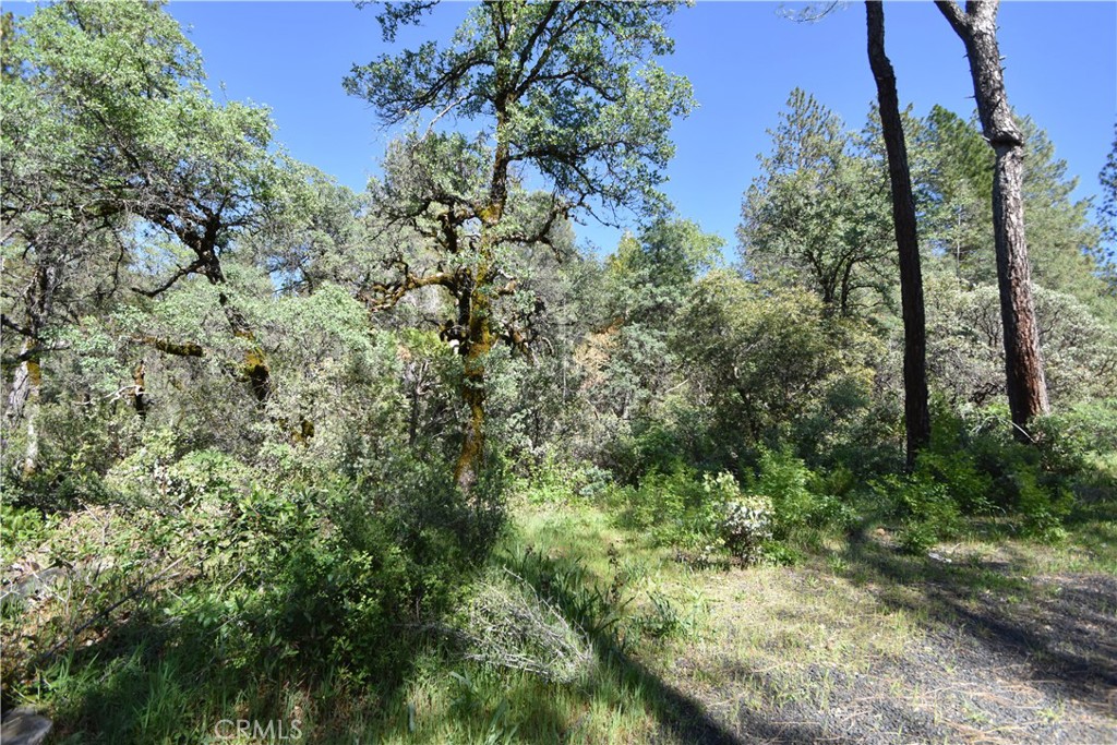 17861 Ponderosa Property Photo 11