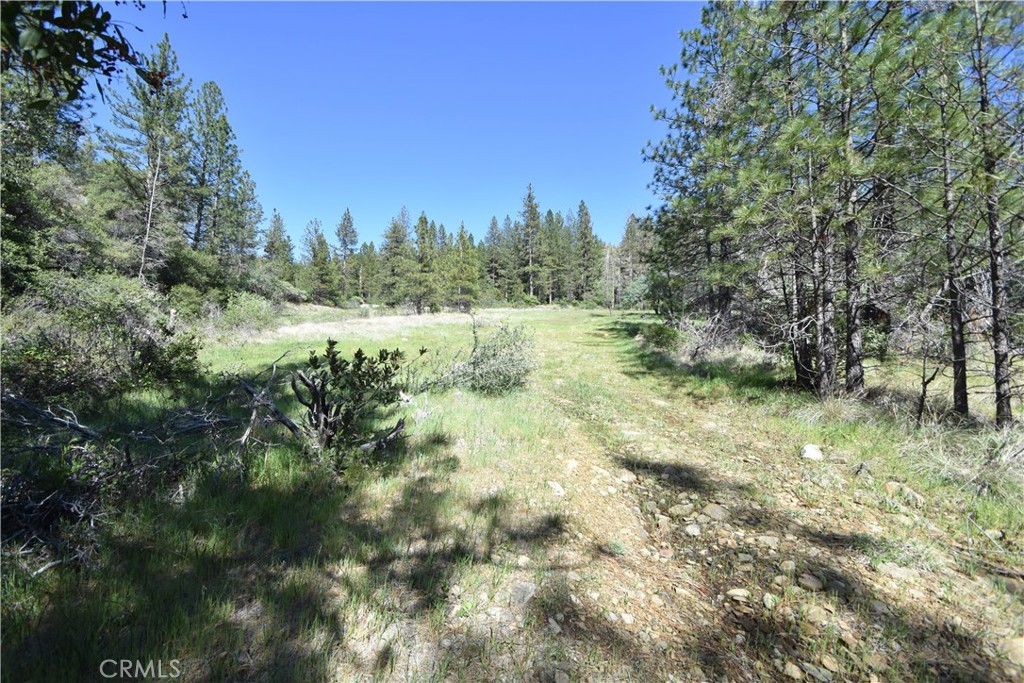 17861 Ponderosa Property Photo 12