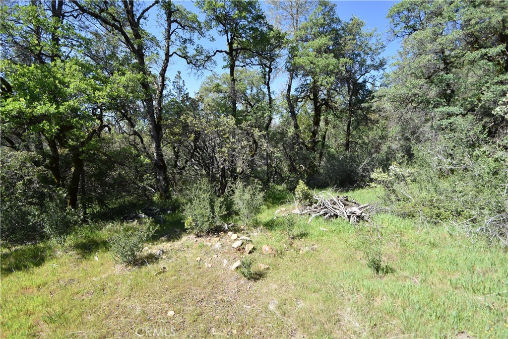 17861 Ponderosa Property Photo 14