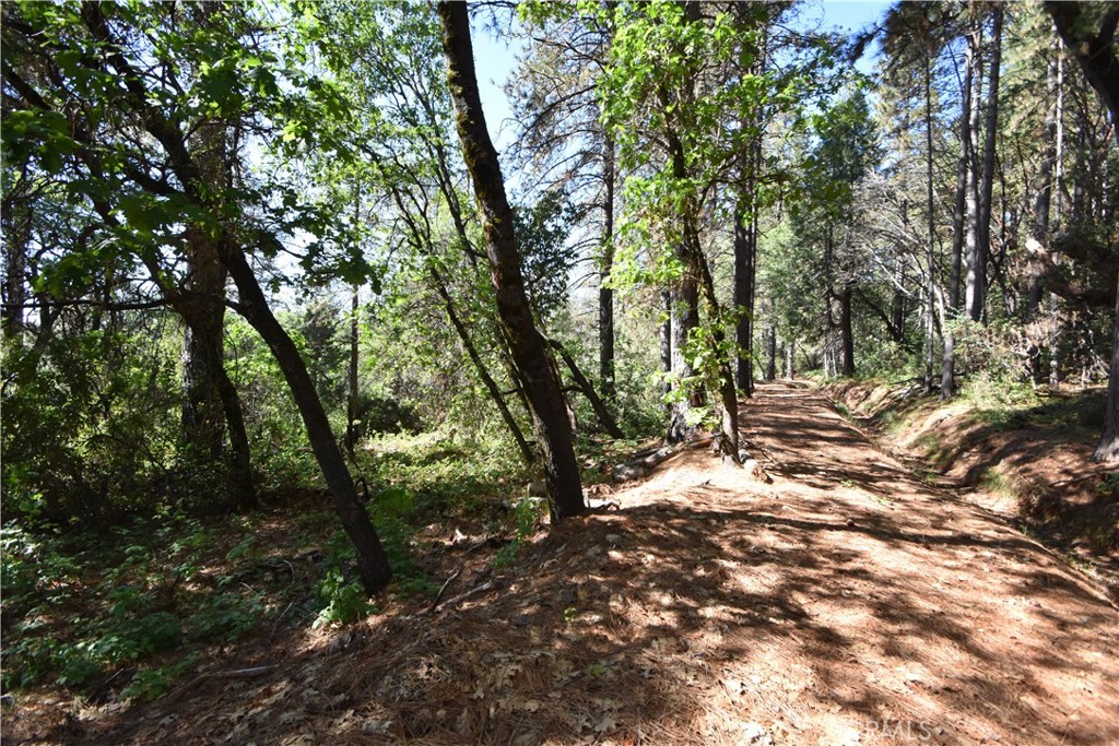 17861 Ponderosa Property Photo 15