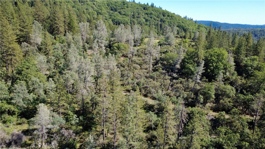 17861 Ponderosa Property Photo 16