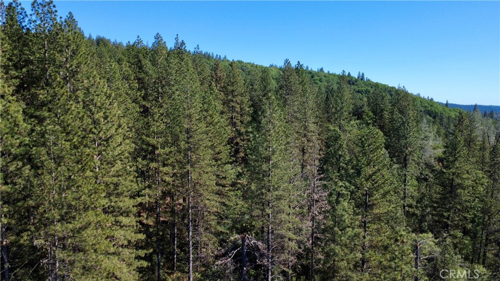 17861 Ponderosa Property Photo 18