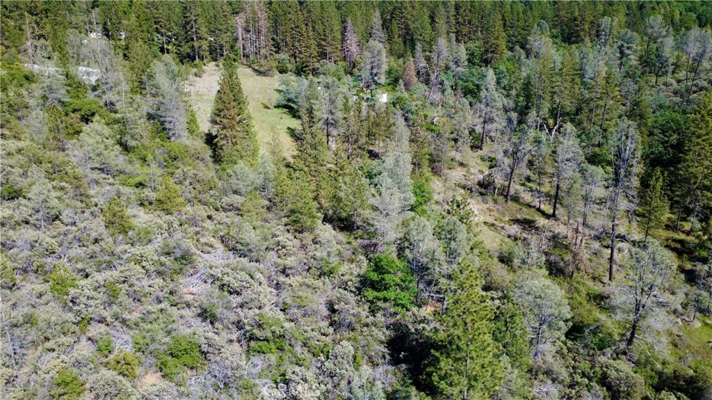 17861 Ponderosa Property Photo 19