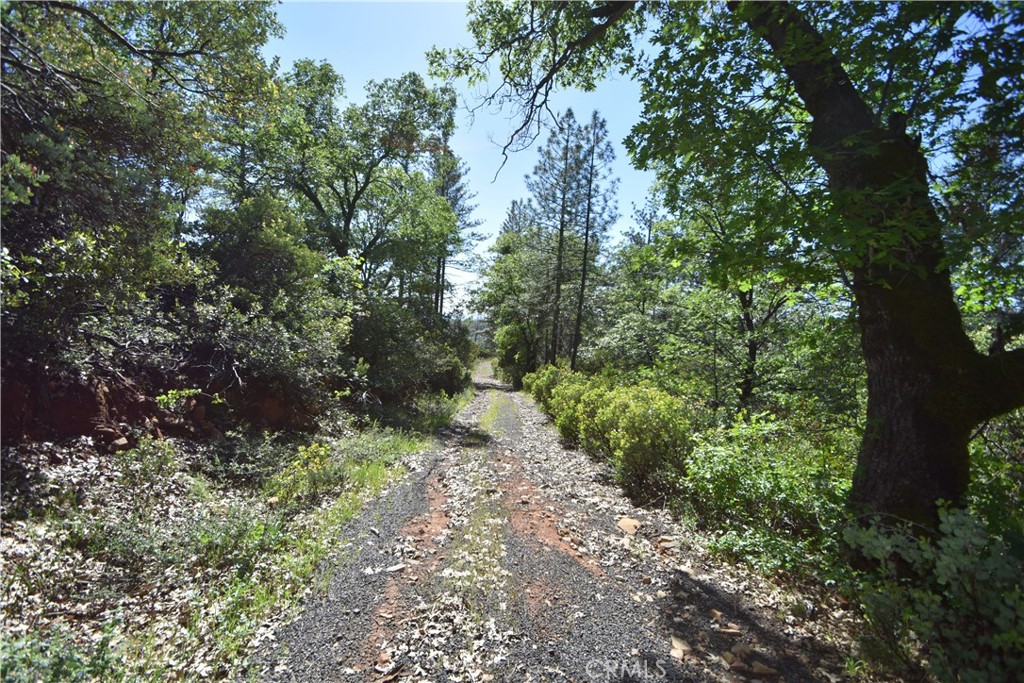 17861 Ponderosa Property Photo 21