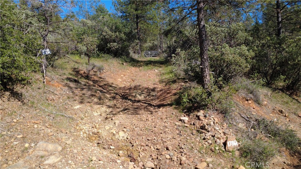 17861 Ponderosa Property Photo 28