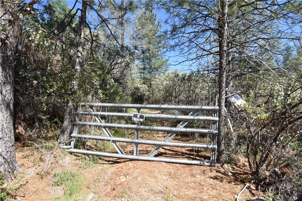 17861 Ponderosa Property Photo 29