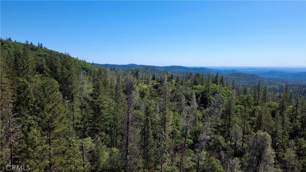 17861 Ponderosa Property Photo 31