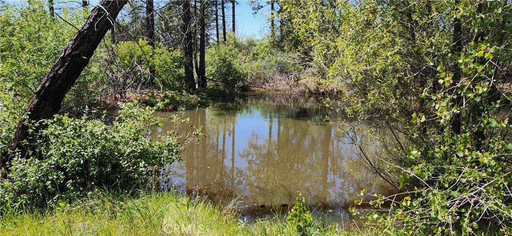 89 Crystal Pines Property Photo 37