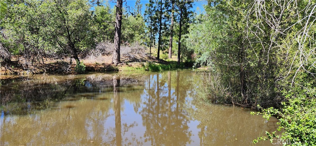 89 Crystal Pines Property Photo 38