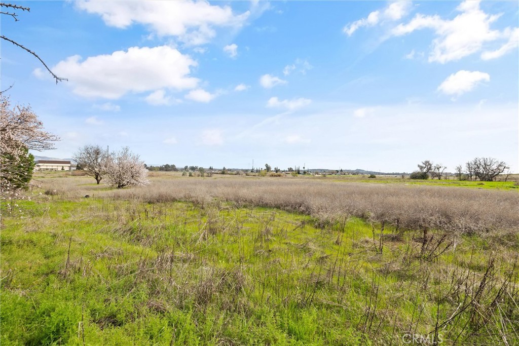 0 Las Plumas Avenue Property Photo 19