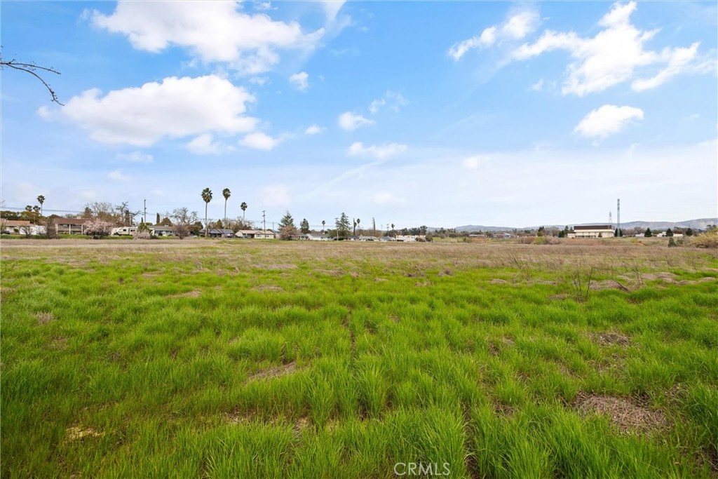 0 Las Plumas Avenue Property Photo 20