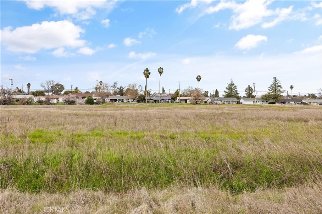 0 Las Plumas Avenue Property Photo 21