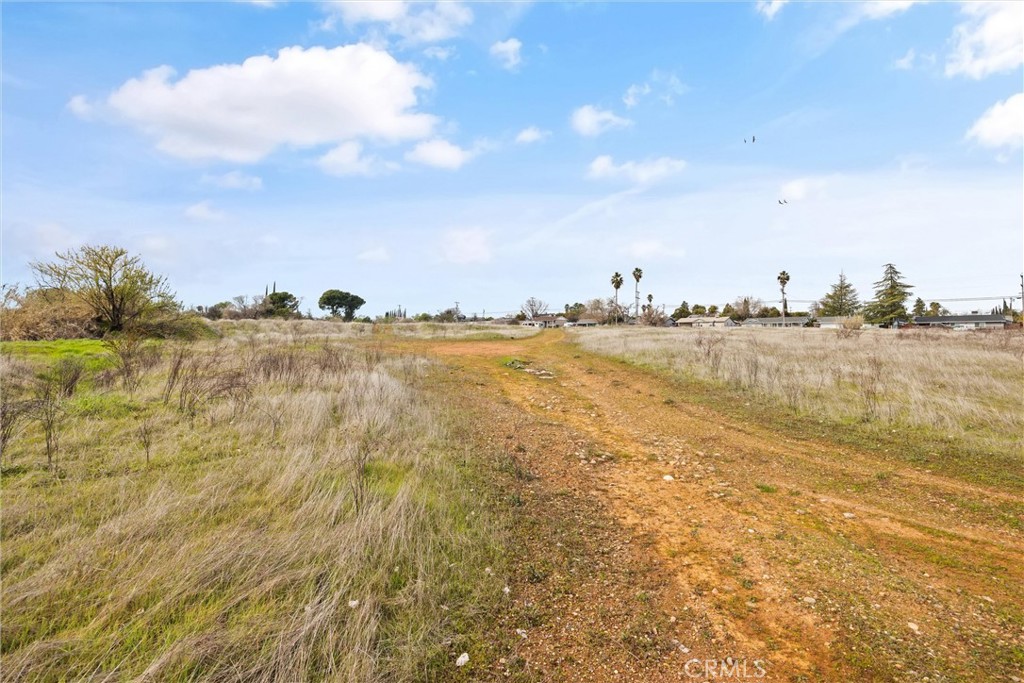 0 Las Plumas Avenue Property Photo 22