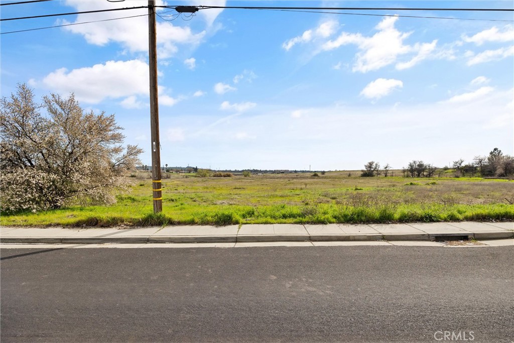 0 Las Plumas Avenue Property Photo 18