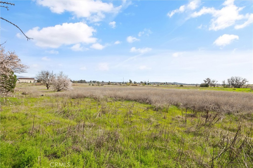 0 Las Plumas Avenue Property Photo 19
