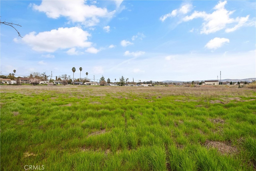 0 Las Plumas Avenue Property Photo 20
