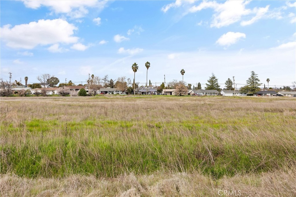 0 Las Plumas Avenue Property Photo 21