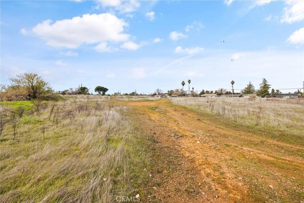 0 Las Plumas Avenue Property Photo 22