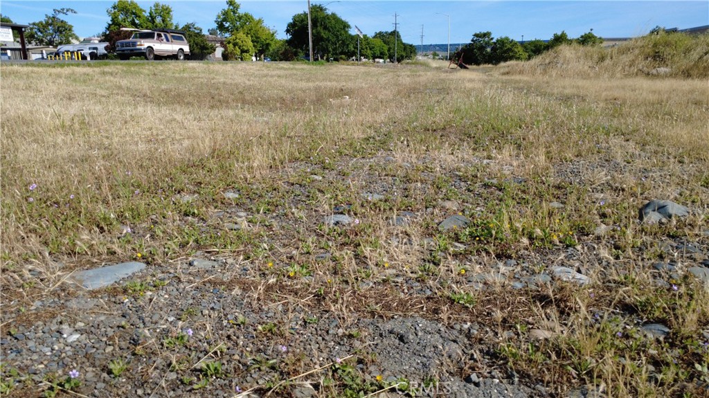 0 Feather River Property Photo 10
